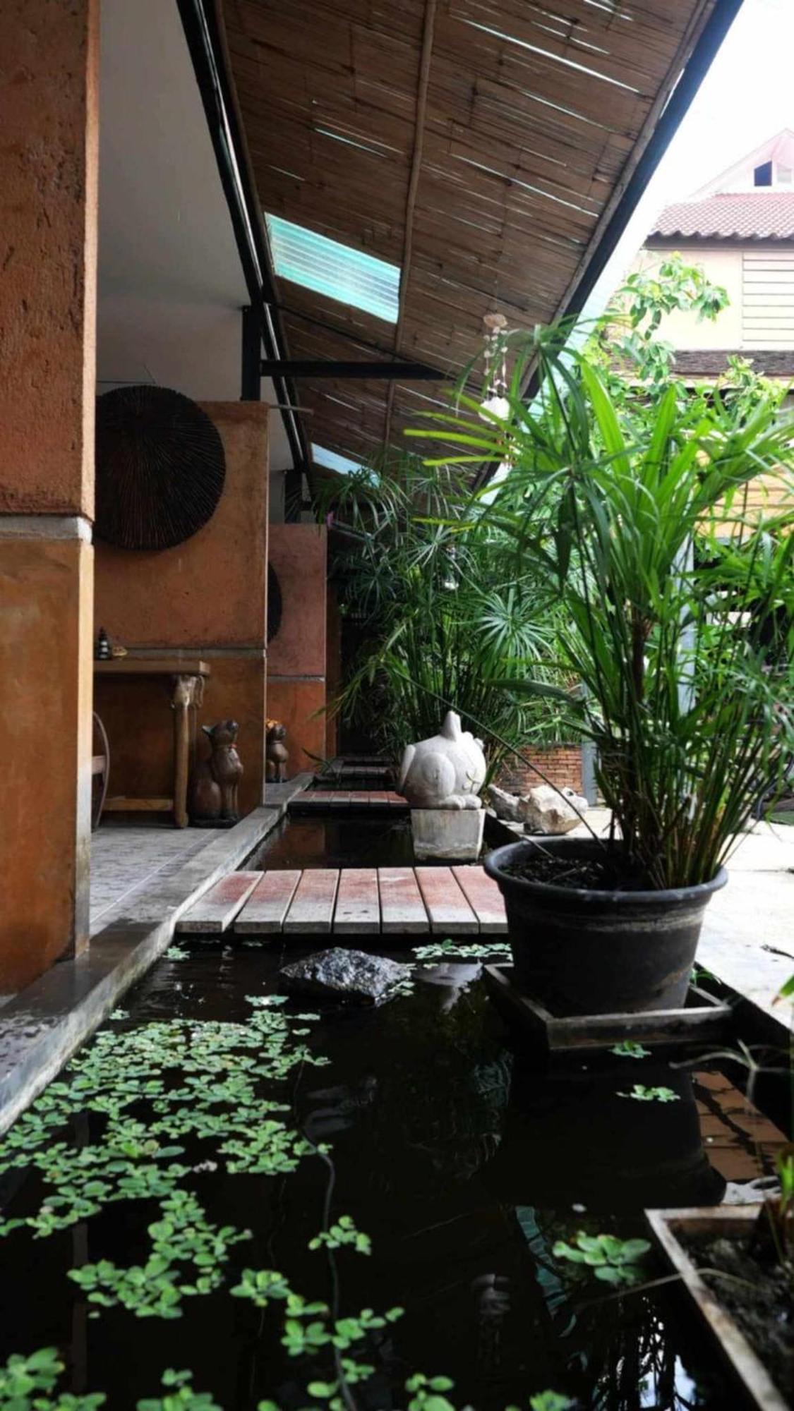 Koko Palm Guest house
