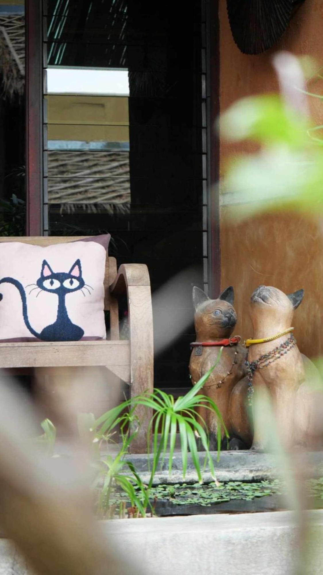 Koko Palm Guest house 2*