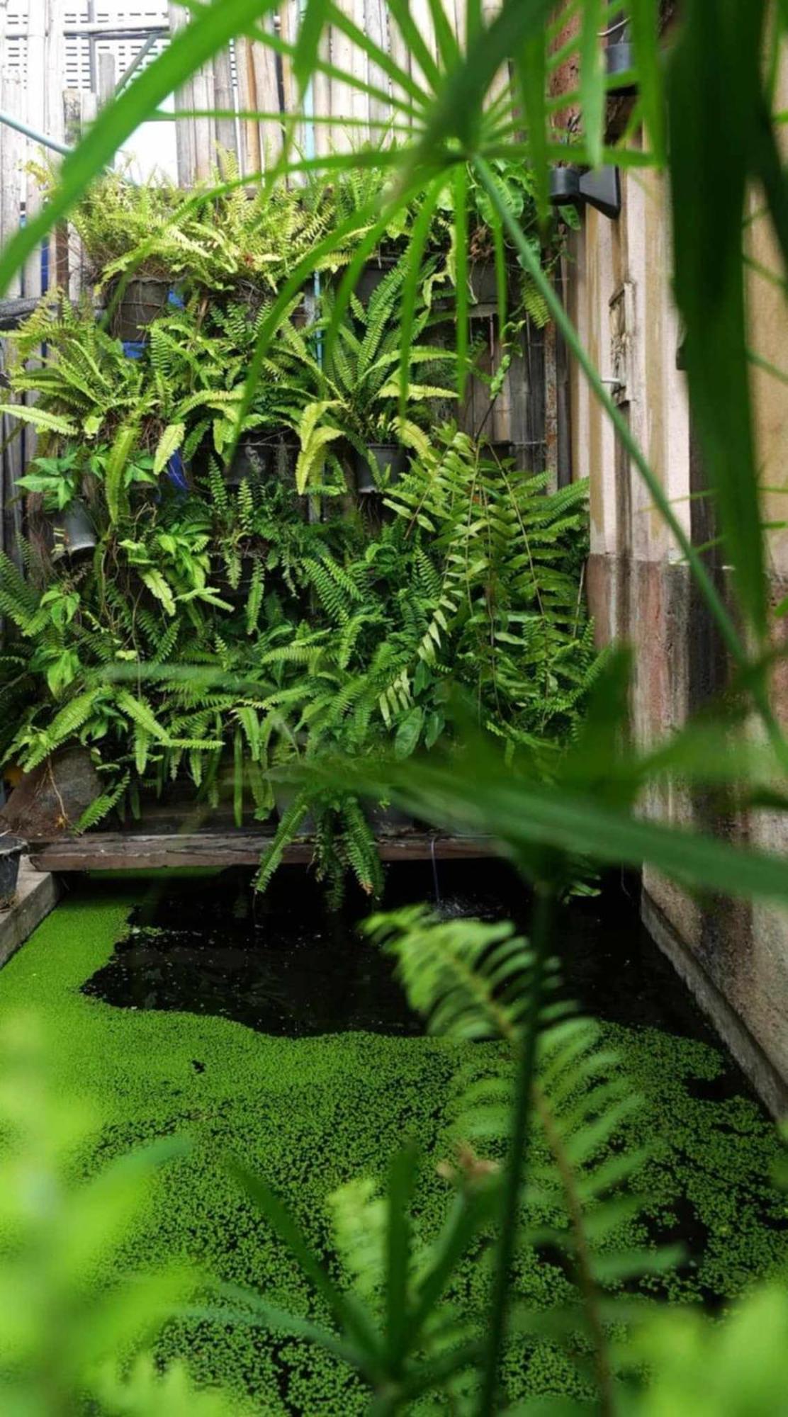 Nhà khách Koko Palm 2*