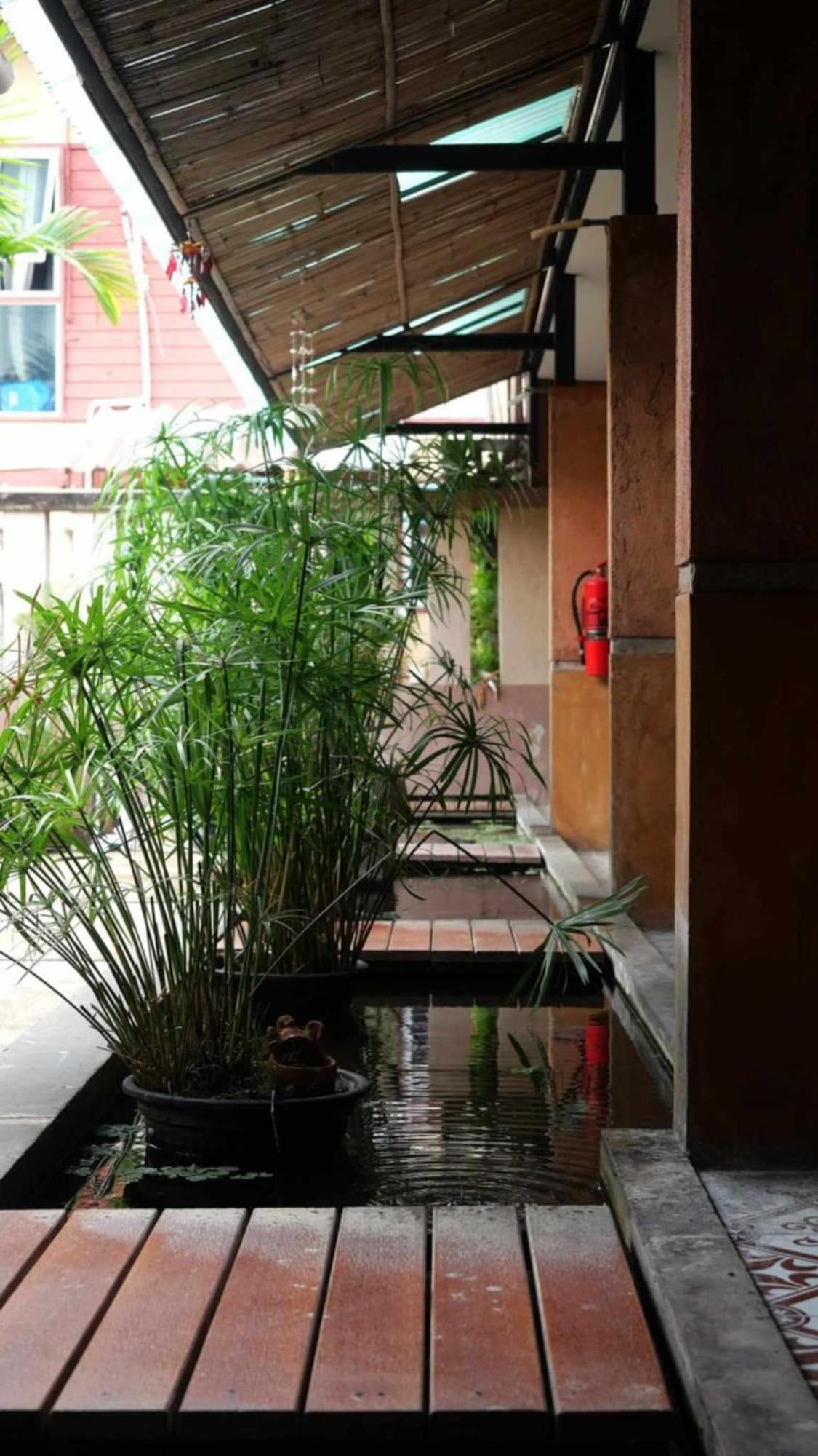 Koko Palm Guest house 2*
