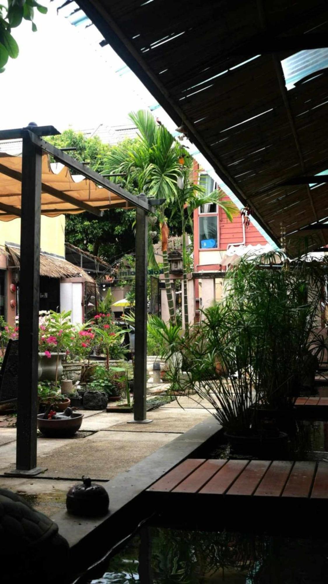 Koko Palm Maison d'hôtes
