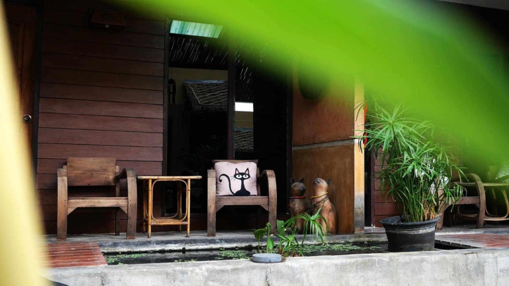 Koko Palm Maison d'hôtes