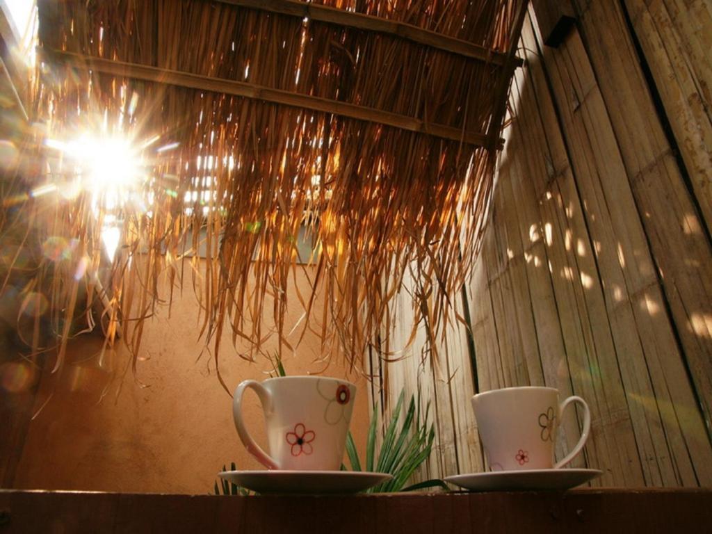 Maison d'hôtes Koko Palm 2*